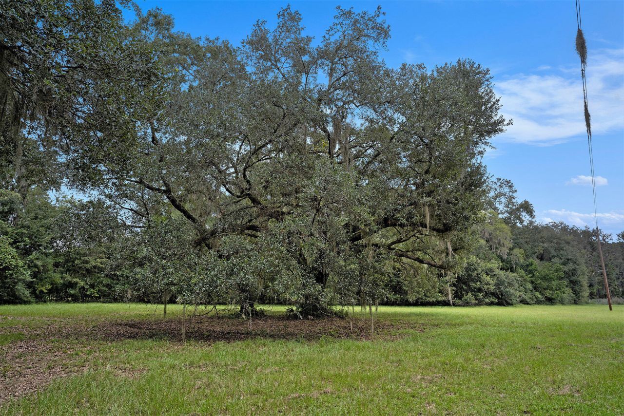 7817 Little Britton Road Photo 23