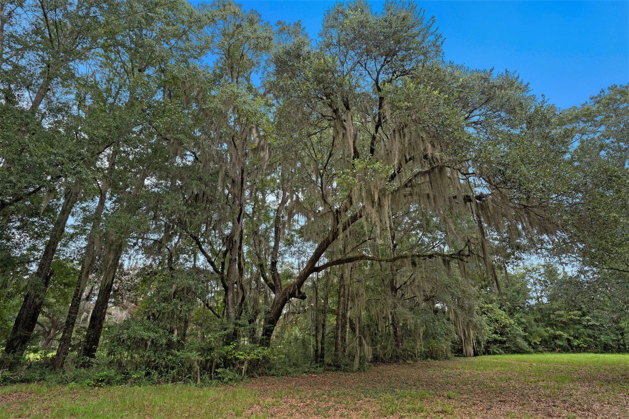 7817 Little Britton Road Photo 24