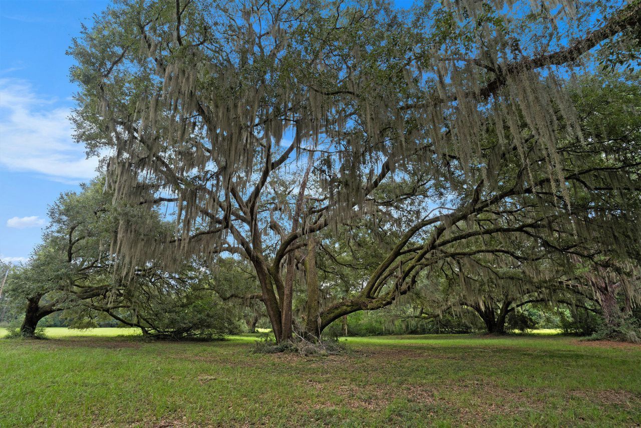 7817 Little Britton Road Photo 26