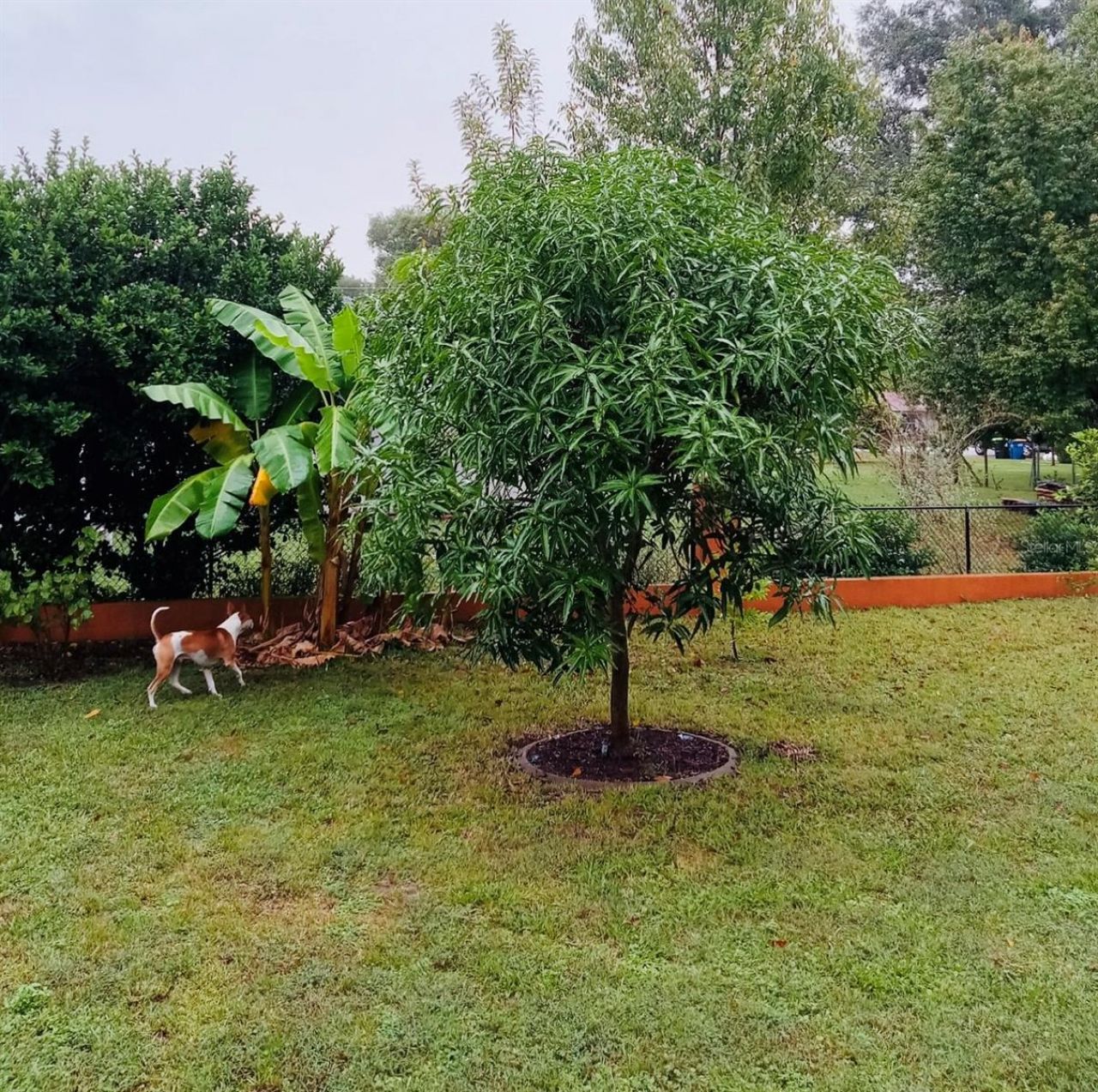 13315 Daffodil Way, Astatula, FL 34705 Photo