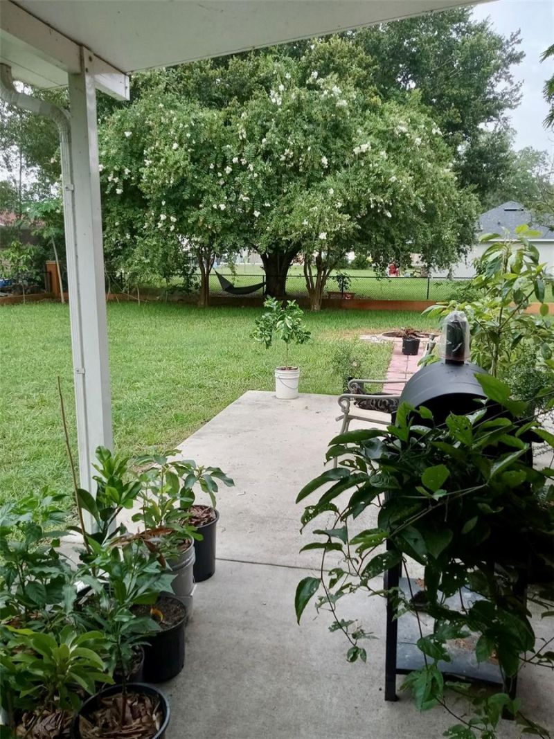 13315 Daffodil Way, Astatula, FL 34705 Photo