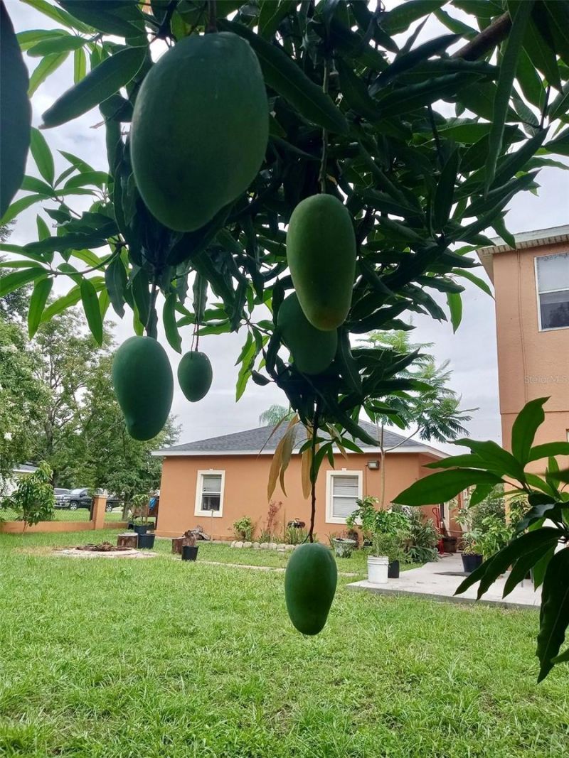 13315 Daffodil Way, Astatula, FL 34705 Photo