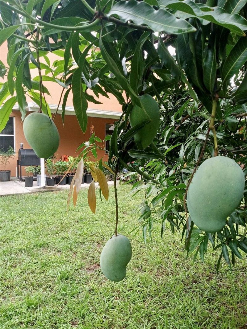 13315 Daffodil Way, Astatula, FL 34705 Photo