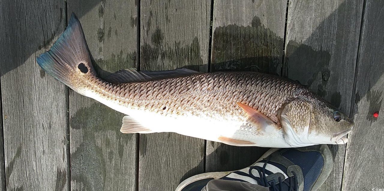 Slip 36 Friendfield Marina  Photo 15