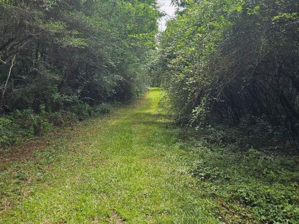 Lot 150 Glendale, Lumberton, MS 39455
