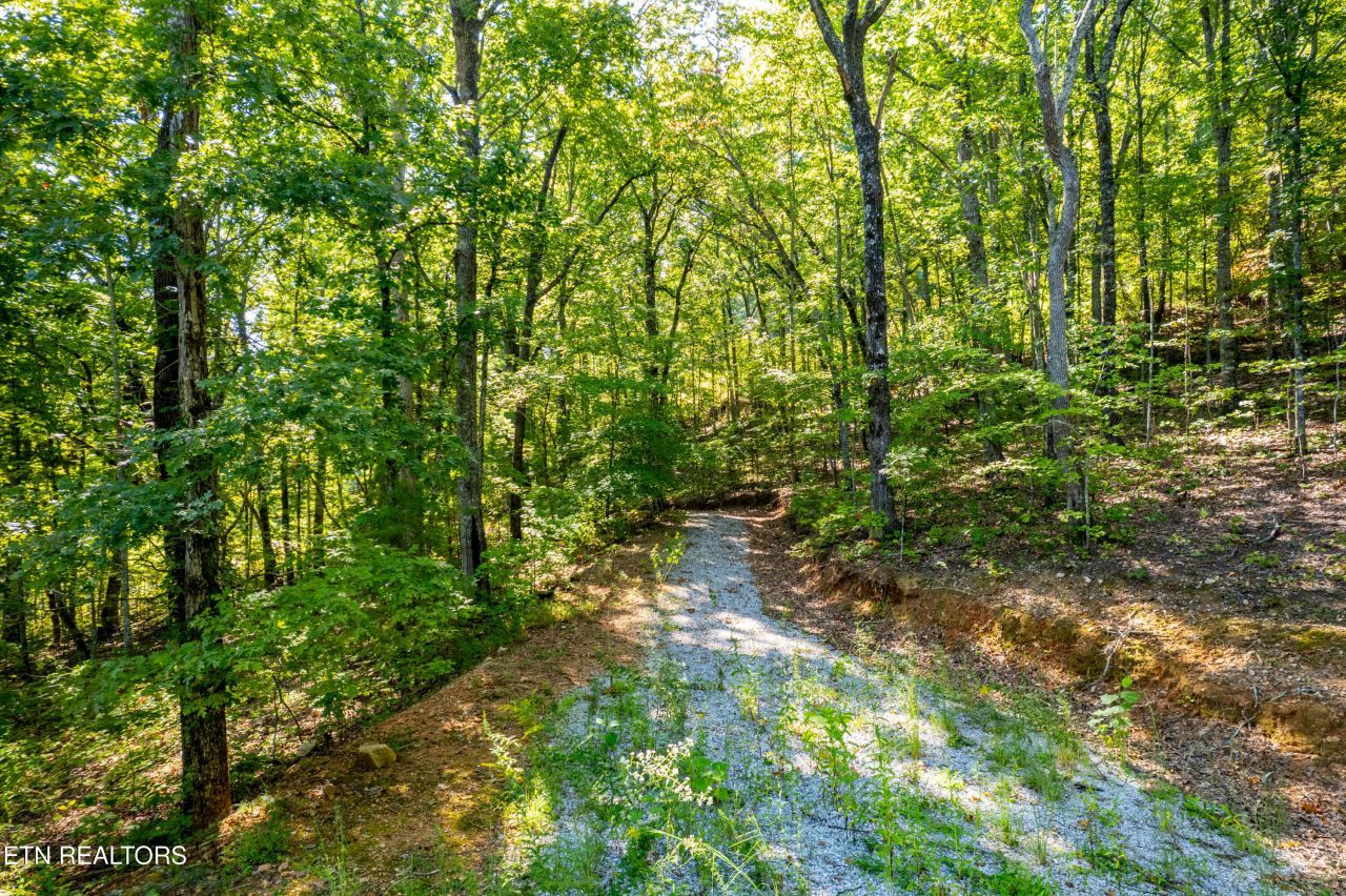 105 Warriors Passage Drive, Tellico Plains, TN 37385 Main Photo