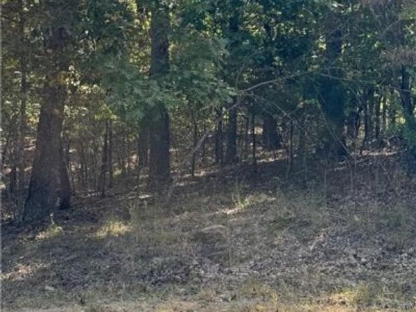 Lot 1093 Salem Drive, Four Seasons, MO 65049