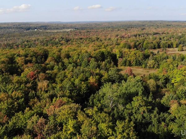 TBDA Worham Road, Chassell Twp, MI 49916