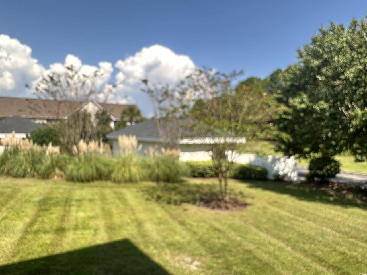 3927 Gladiola Ct. Photo 11