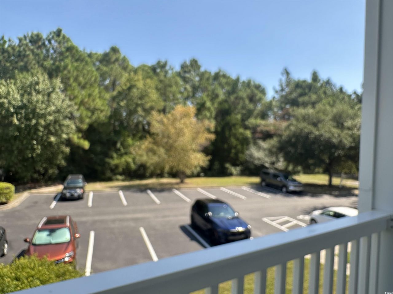 3927 Gladiola Ct. Photo 14