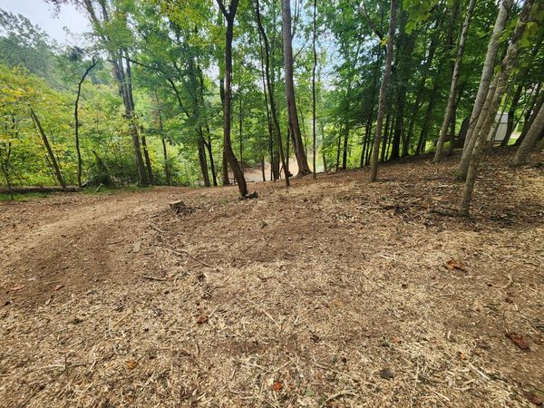 1515 Catoosa Drive, Mooresburg, TN 37811