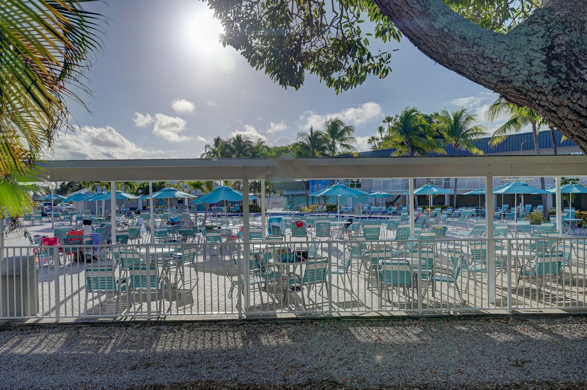 497 Piedmont K, Delray Beach, FL 33484 Photo