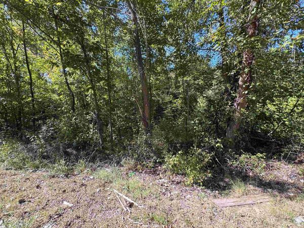 0 HWY 51 HWY S, Munford, TN 38058