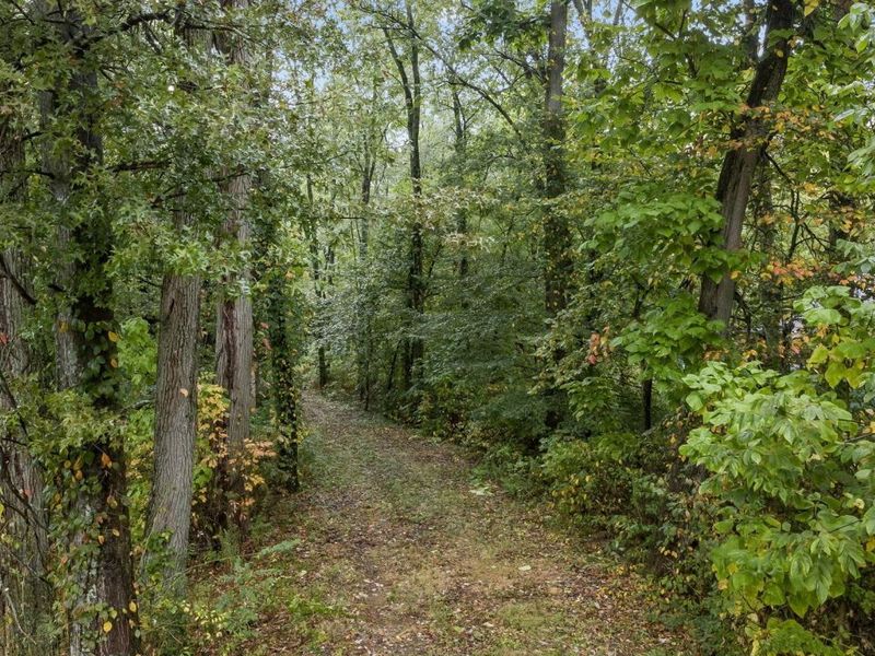 0 Babbitt Road , New Albany, OH 43054 Photo 5