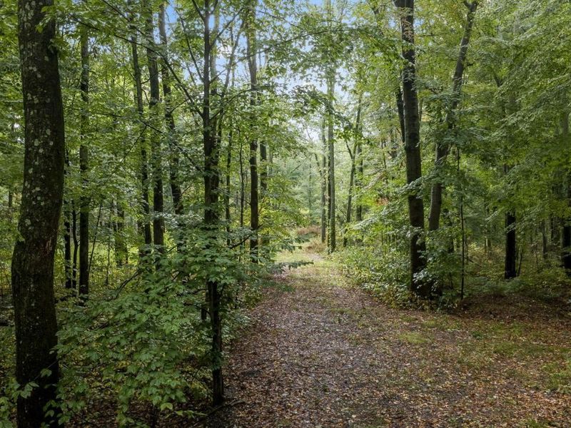 0 Babbitt Road , New Albany, OH 43054 Photo 6