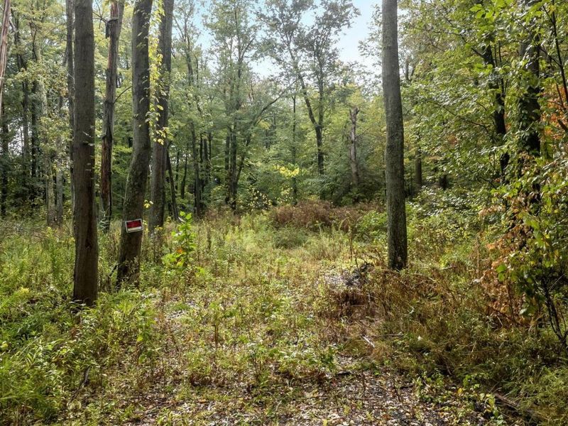 0 Babbitt Road , New Albany, OH 43054 Photo 7