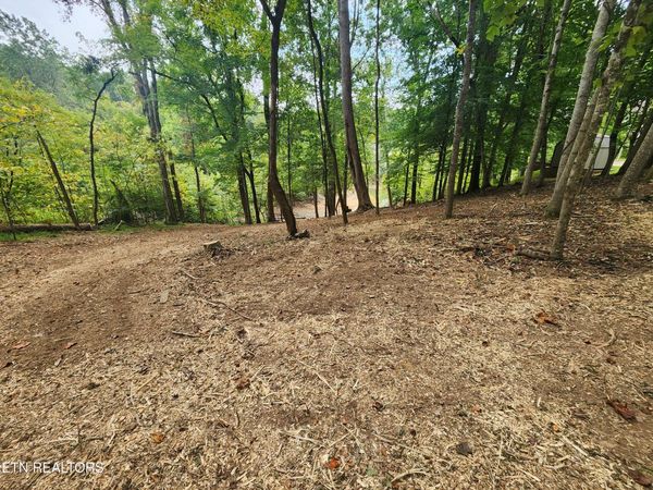 1515 Catoosa Drive, Mooresburg, TN 37811