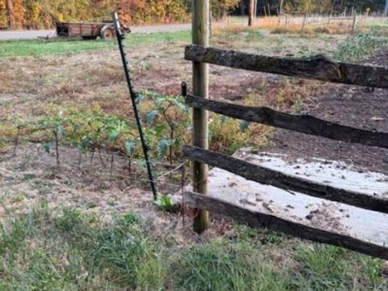 4187 Avalon Road NW, Carrollton, OH 44615 Photo 8