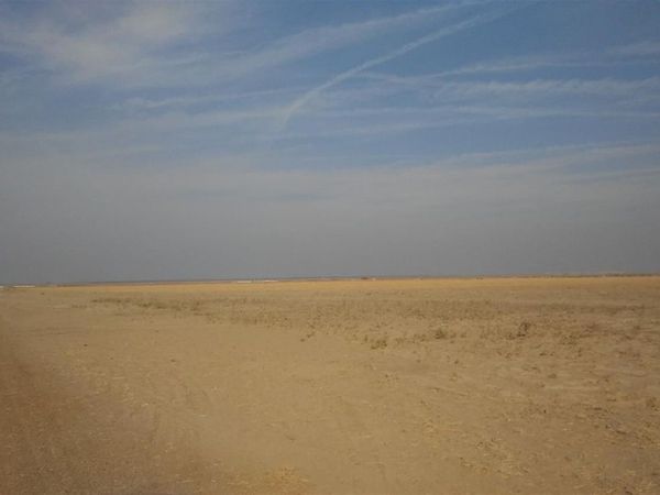 27564 7th Standard, Buttonwillow, CA 93206