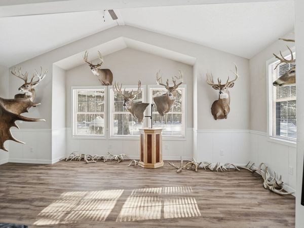 9283 Willow Road, Bitely, MI 49309