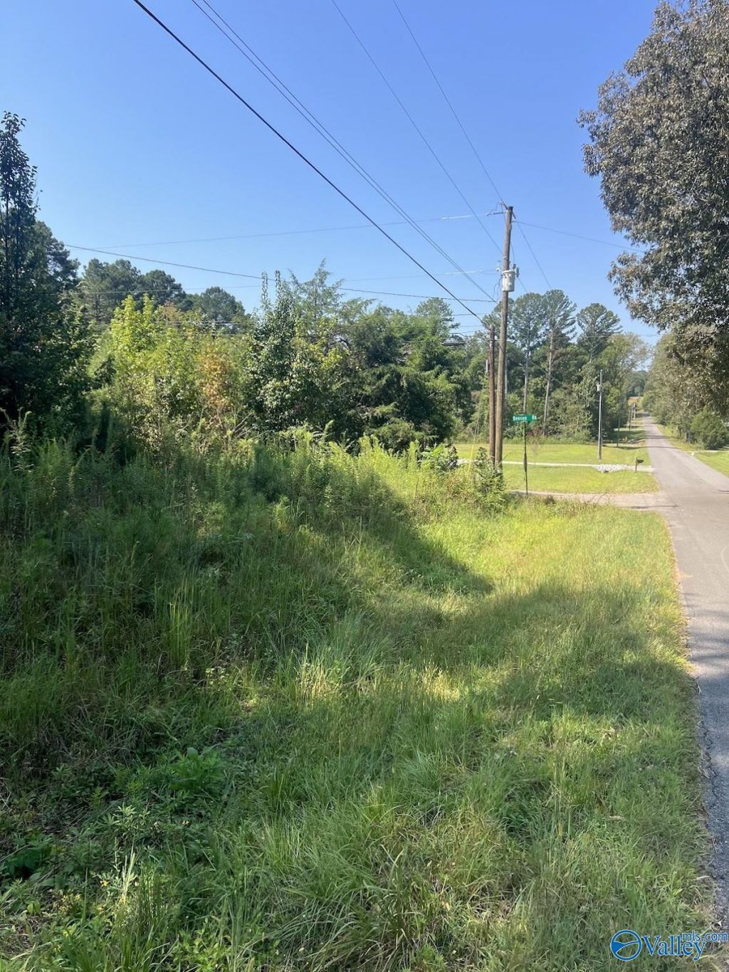 297 Benson Road, Somerville, AL 35670 Main Photo