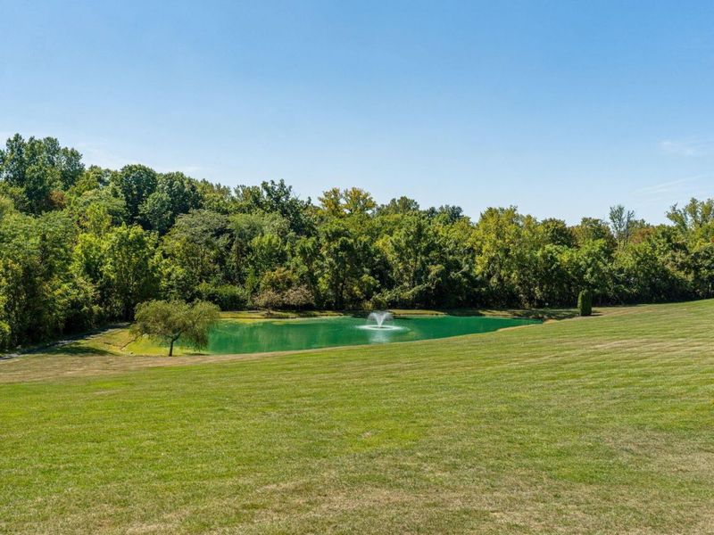 4951 Scenic Creek Drive, Powell, OH 43065 Photo 9