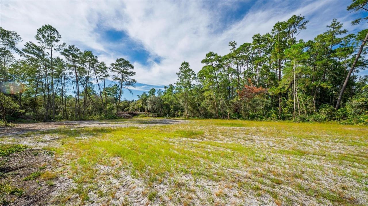 52215 State Road 19, Altoona, FL 32702 Photo