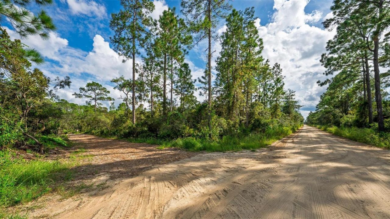 52215 State Road 19, Altoona, FL 32702 Photo