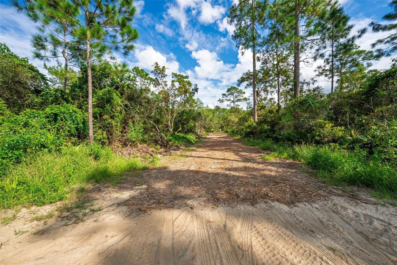 52215 State Road 19, Altoona, FL 32702 Photo