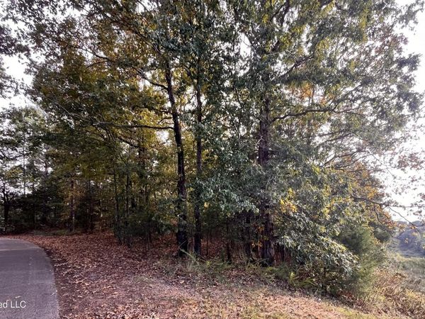 0 Hill Top Road, Ashland, MS 38603