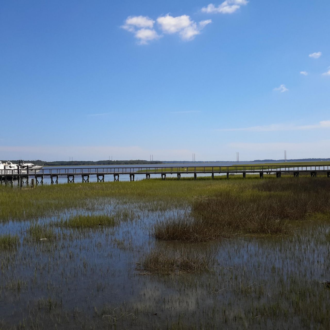 1563 Headquarters Plantation Drive Photo 117