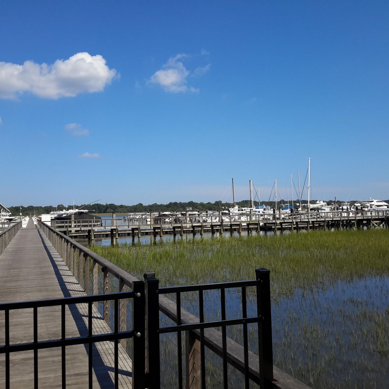 1563 Headquarters Plantation Drive Photo 118