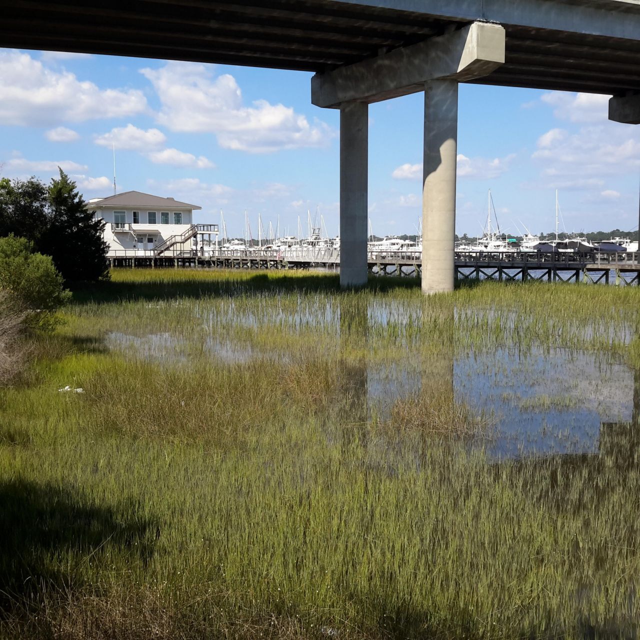 1563 Headquarters Plantation Drive Photo 120