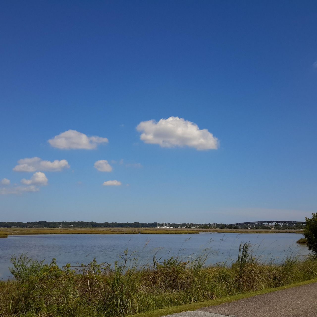 1563 Headquarters Plantation Drive Photo 121