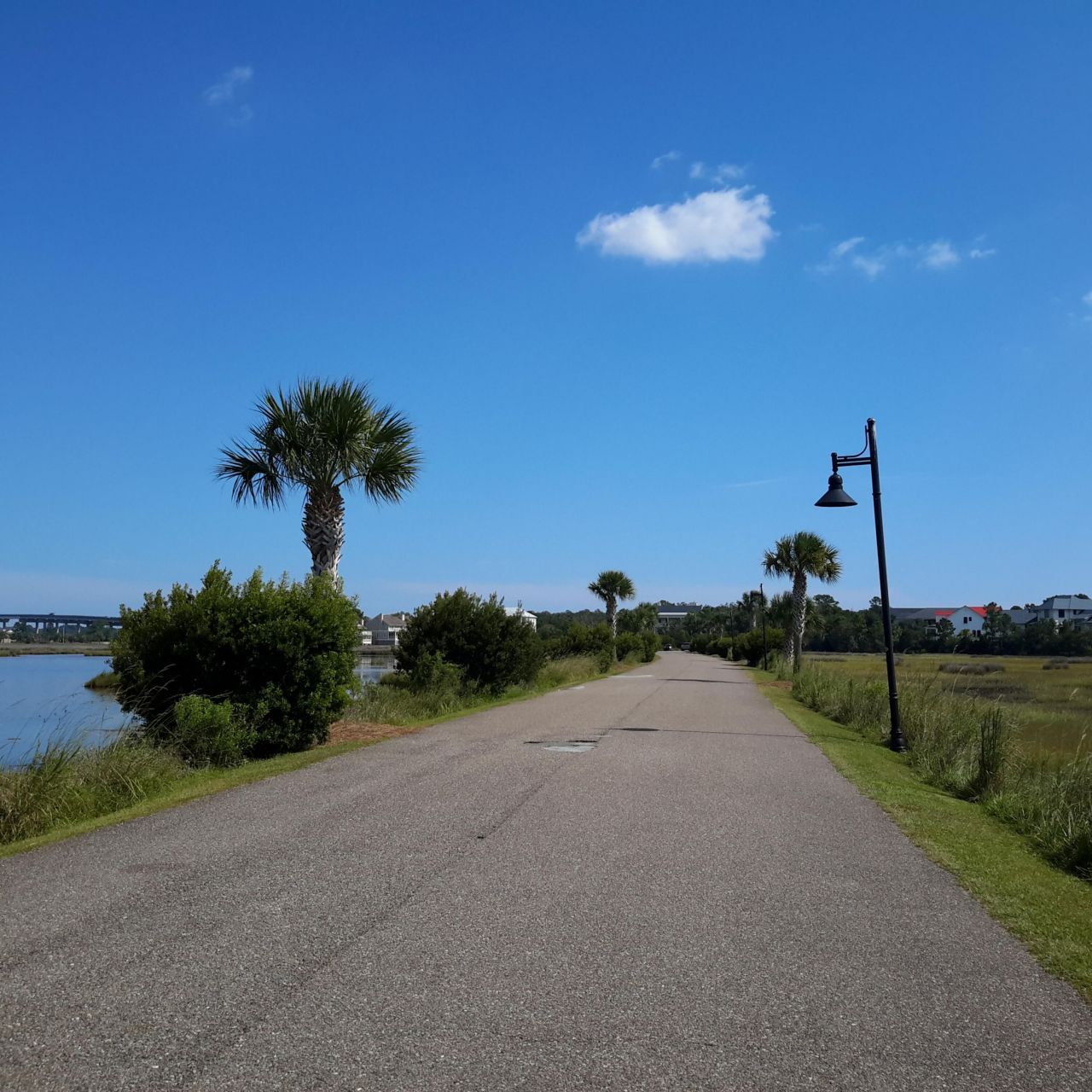 1563 Headquarters Plantation Drive Photo 122