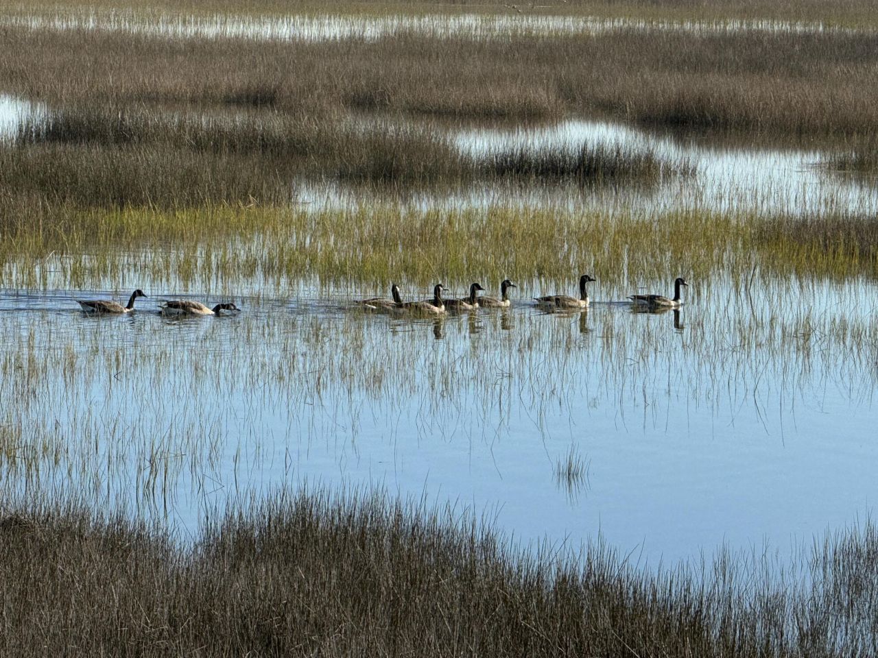 1563 Headquarters Plantation Drive Photo 88
