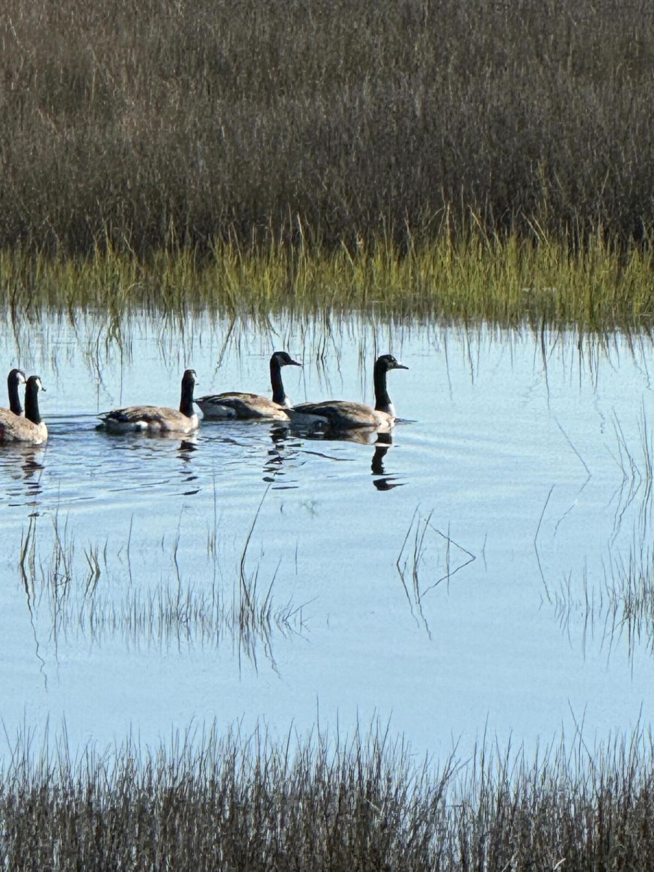 1563 Headquarters Plantation Drive Photo 89