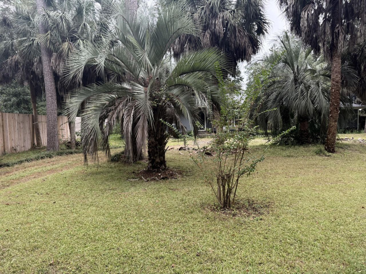 138 Acline Avenue Photo 6