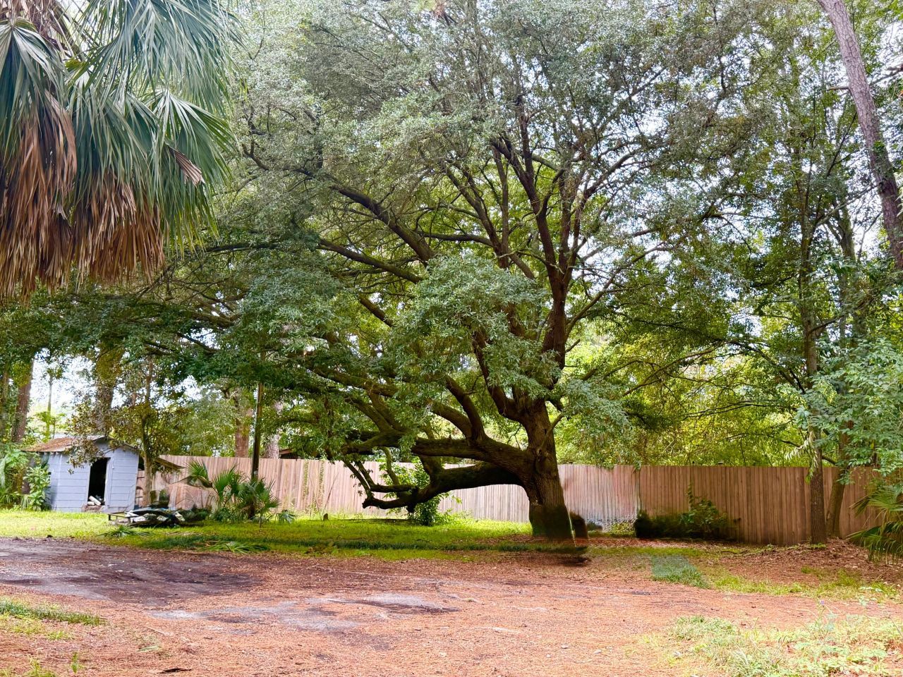 138 Acline Avenue Photo 7