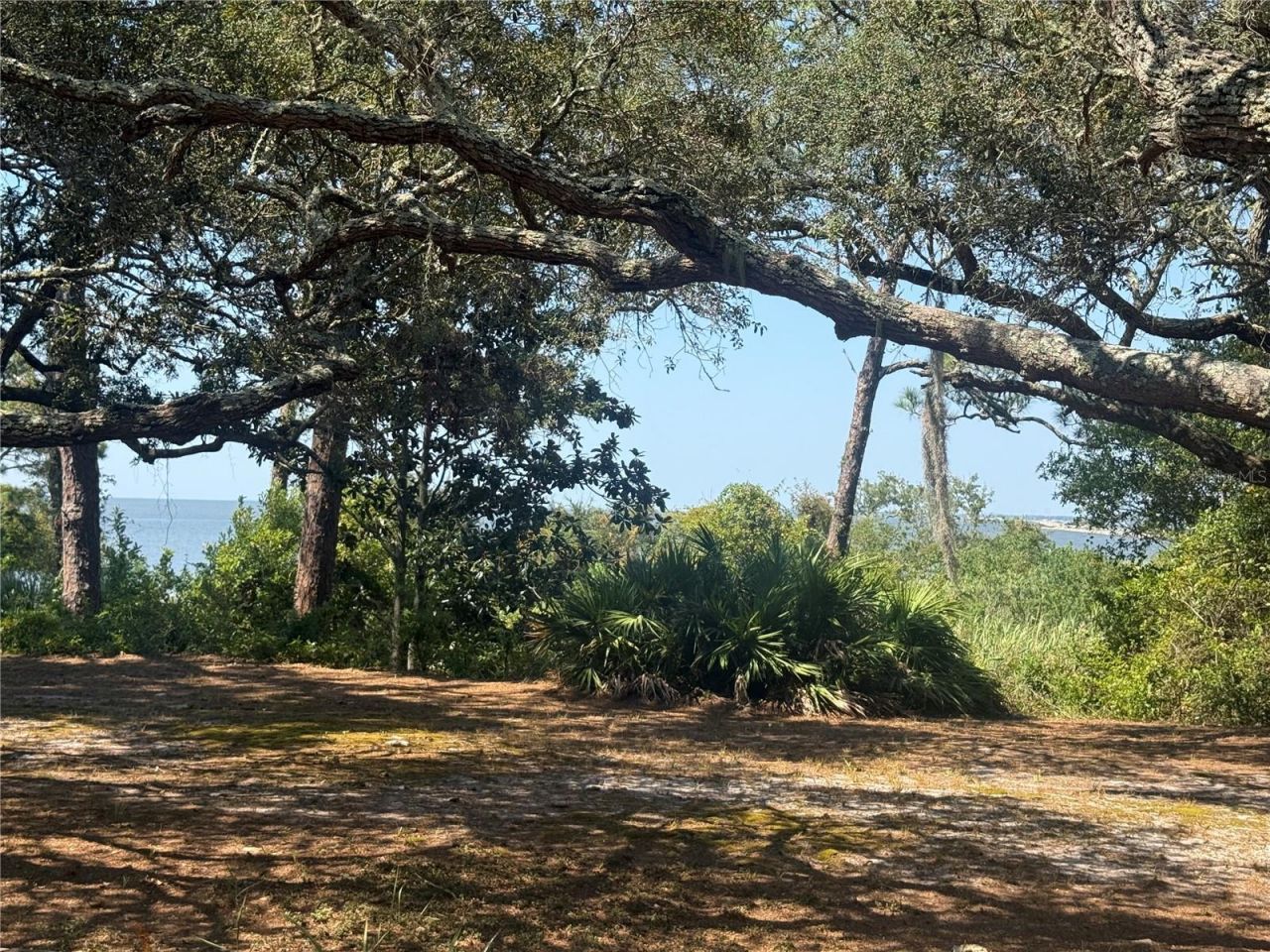 17 S Bayshore Drive, Eastpoint, FL 32328 Photo