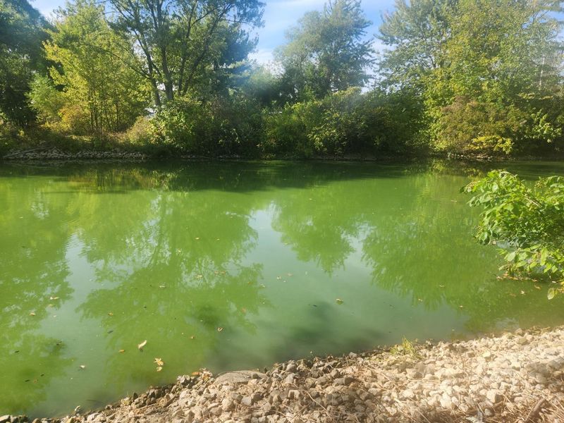 77 N Canal Street, Montezuma, OH 45866 Photo 14