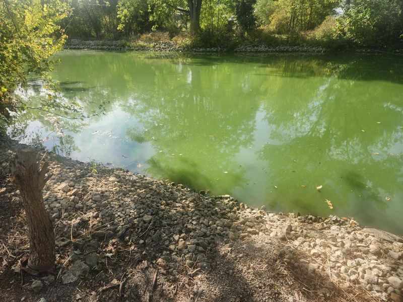 77 N Canal Street, Montezuma, OH 45866 Photo 26