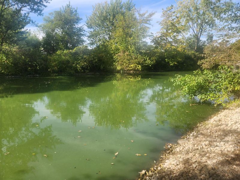 77 N Canal Street, Montezuma, OH 45866 Photo 27