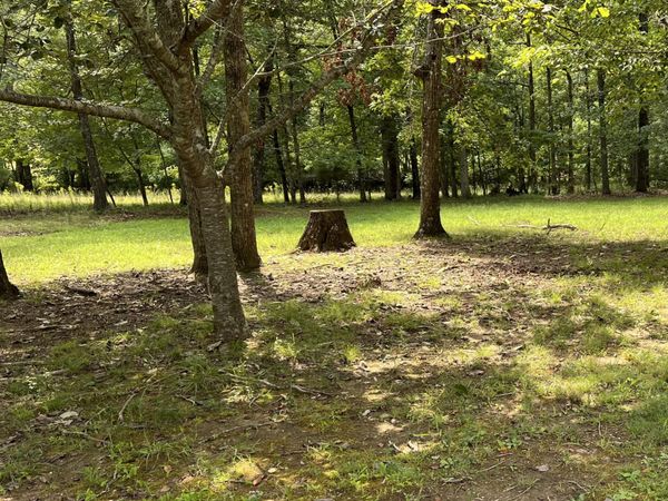 214 Blackberry Farm Rd W, Unit 5, Monteagle, TN 37356