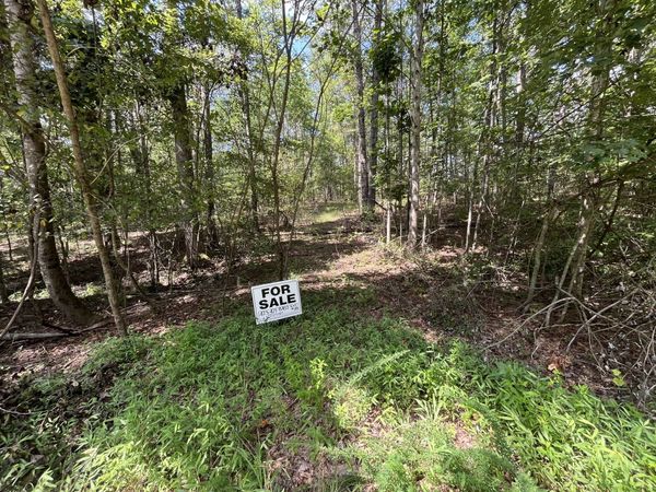 201 Blackberry Farm Rd W, Unit 9, Monteagle, TN 37356