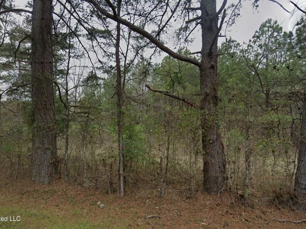 Sleepy Hollow Road Lot, Terry, MS 39170
