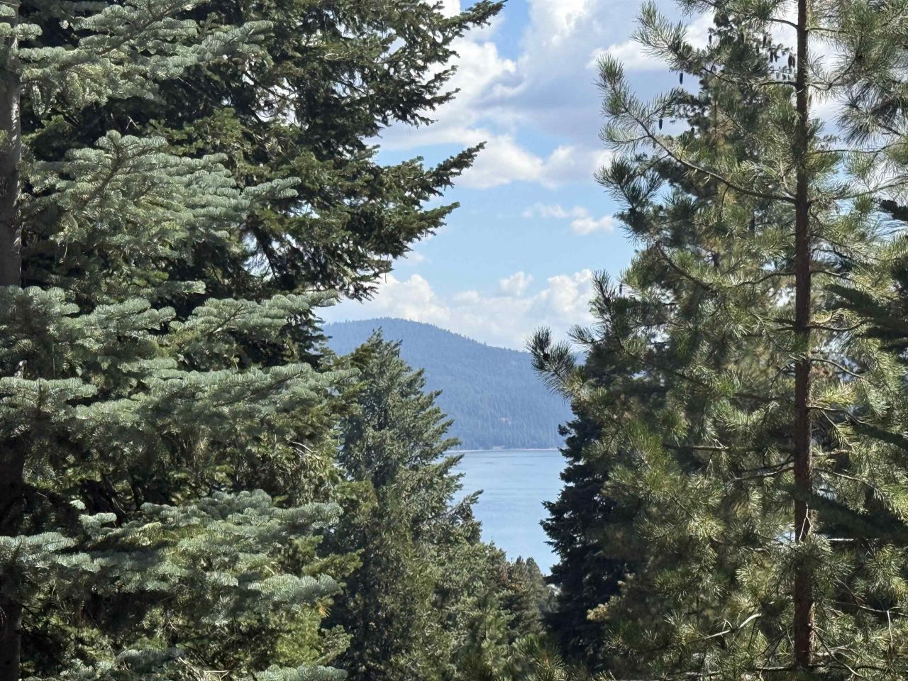 608 E Burnt Cedar Road, Lake Almanor, CA 96137 Photo