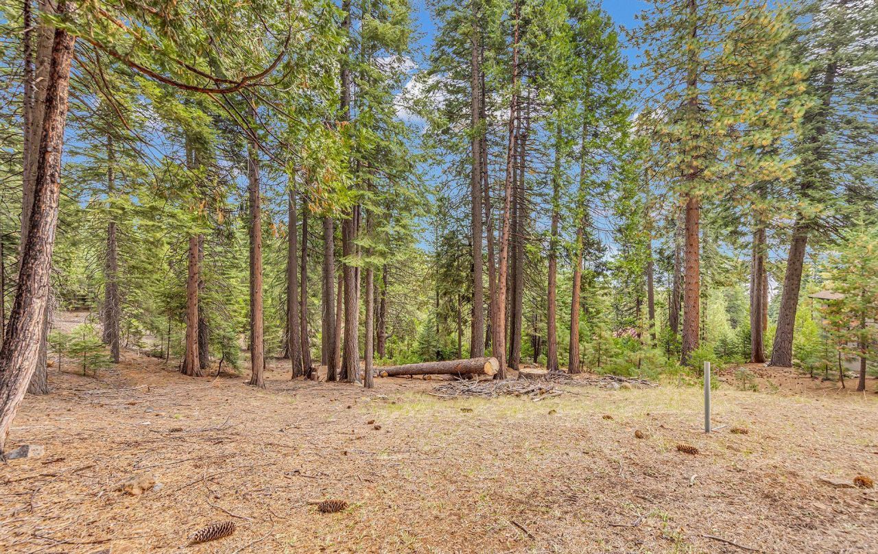 608 E Burnt Cedar Road, Lake Almanor, CA 96137 Photo