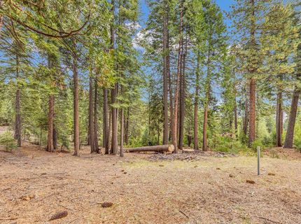608 E Burnt Cedar Road, Lake Almanor, CA 96137 Photo