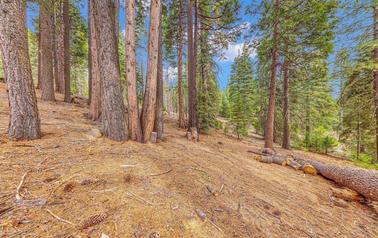 608 E Burnt Cedar Road, Lake Almanor, CA 96137 Photo